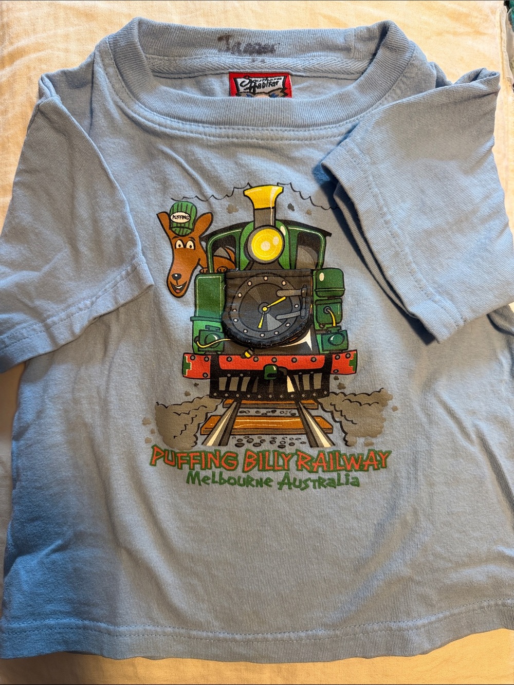 Puffing Billy Railway Kids Light Blue Graphic Tee